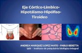 Eje Córtico-Límbico- Hipotálamo-Hipófiso- Tiroideo ANDREA MARQUEZ LOPEZ MATO - PABLO BERETTA ipbi - Instituto de psiquiatría biológica integral.