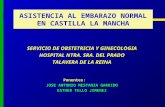 ASISTENCIA AL EMBARAZO NORMAL EN CASTILLA LA MANCHA SERVICIO DE OBSTETRICIA Y GINECOLOGIA HOSPITAL NTRA. SRA. DEL PRADO TALAVERA DE LA REINA Ponentes: