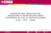 AVANCES DEL PROCESO DE ADOPCIÓN O ADAPTACIÓN PARA COLOMBIA DE LAS CLASIFICACIONES CIIU – CPC – CIUO 6 de agosto de 2014.