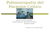 Polineuropatía del Paciente Crítico Autor: Lorenzo Andrés Colaboradores :Santillán Enrique Alvarez Guido Miércoles 14 de Octubre 2009.