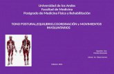 Universidad de los Andes Facultad de Medicina Postgrado de Medicina Física y Rehabilitación TONO POSTURAL,EQUILIBRIO,COORDINACIÓN y MOVIMIENTOS INVOLUNTARIOS.