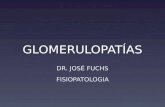 GLOMERULOPATÍAS DR. JOSÉ FUCHS FISIOPATOLOGIA. 2 Glomérulo.