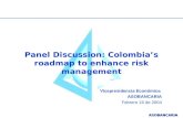 ASOBANCARIA Panel Discussion: Colombia’s roadmap to enhance risk management Vicepresidencia Económica ASOBANCARIA Febrero 16 de 2004.