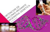 OBTENCION DE VACUNAS MEDIANTE INGENIERIA GENETICA BIOTECNOLIGIA.
