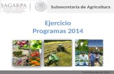 Ejercicio Programas 2014 8 de diciembre de 2014 Subsecretaría de Agricultura.