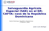 Salvaguardia Agrícola Especial (SAE) en el DR- CAFTA: caso de la República Dominicana Santo Domingo, República Dominicana 2 Febrero, 2009 Juan Luis Zúñiga.