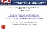 XXX PLENO NACIONAL DE BIENESTAR UNIVERSITARIO PAIPA, 2009 LOS SENTIDOS DEL BIENESTAR UNIVERSITARIO EN RUDECOLOMBIA: MAS ALLÁ DE UN SERVICIO ASISTENCIAL.