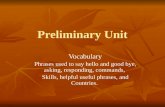 Preliminary Unit Vocabulary Phrases used to say hello and good bye, asking, responding, commands, Skills, helpful useful phrases, and Countries