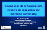 Diagnóstico de la Aspergilosis invasiva en el paciente con profilaxis antifúngica Dra. Carlota Gudiol Enfermedades Infecciosas IDIBELL- Hospital Universitari.