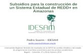 Pedro Soares – IDESAM pedro.soares@idesam.org.br Intercambio Regional: Revisión de resultados de la COP19 de cambio climático y del estado de programas.