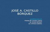 JOSÉ A. CASTILLO BÓRQUEZ jacb58@gmail.com Hidalgo 80, Comala, Colima Tel. 01312-3072447 Cel. 044312-3190501.