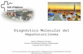 Diagnóstico Molecular del Hepatocarcinoma Beatriz Mínguez Rosique Servicio de Medicina Interna-Hepatología Hospital Vall d´Hebron IV Curso para Residentes.