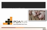 Entrenamiento de Certificación 1. Pork Quality Assurance (PQA) Plus®  El implementar PQA Plus® ayudará al productor a mantener o a crear:  Un producto.