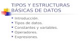 TIPOS Y ESTRUCTURAS BÁSICAS DE DATOS Introducción. Tipos de datos. Constantes y variables. Operadores. Expresiones.