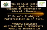 Centro de Salud Familiar Pedro Aguirre Cerda. Programa de Prevención en Alcohol y Drogas. II Escuela Ecológica Multifamiliar de 1º Nivel PROGRAMA ECOLOGICO.