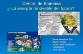 Central de Biomasa ¿ La energía renovable del futuro?  Diana Almodóvar 3ºA  Raquel Alonso  Jacinto José Crisóstomo  Livia García  Irene Moriche.