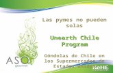 Las pymes no pueden solas Unearth Chile Program Góndolas de Chile en los Supermercados de Estados Unidos.