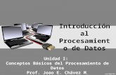 Introducción al Procesamiento de Datos Unidad I: Conceptos Básicos del Procesamiento de Datos Prof. Joao E. Chávez M.