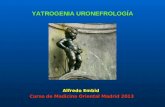 YATROGENIA URONEFROLOGÍA Alfredo Embid Curso de Medicina Oriental Madrid 2013.