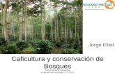 Sub programa productos ecosistemas tropicales 22/7/2010 Caficultura y conservación de Bosques Jorge Elliot.