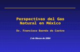 Perspectivas del Gas Natural en México Dr. Francisco Barnés de Castro 2 de Marzo de 2004.