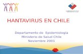 HANTAVIRUS EN CHILE Departamento de Epidemiología Ministerio de Salud Chile Noviembre 2001.