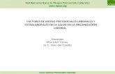 Red Iberoamericana de Riesgos Psicosociales Laborales  Curso: Factores Psicosociales Laborales Docentes MSc Idier Torres Dr.C. Nino del Castillo.