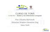 CURSO DE TORÁ CLASE #27 – Babel y las Diferentes Lenguas Por: Eliyahu BaYonah Director Shalom Haverim Org New York.