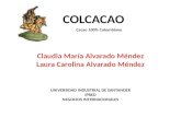 Cacao 100% Colombiano UNIVERSIDAD INDUSTRIAL DE SANTANDER IPRED NEGOCIOS INTERNACIONALES.