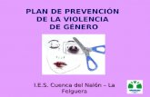 PLAN DE PREVENCIÓN DE LA VIOLENCIA DE GÉNERO I.E.S. Cuenca del Nalón – La Felguera.