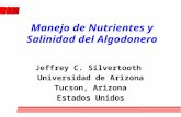 Manejo de Nutrientes y Salinidad del Algodonero Jeffrey C. Silvertooth Universidad de Arizona Tucson, Arizona Estados Unidos.