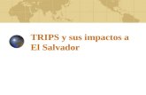 TRIPS y sus impactos a El Salvador. TRIPS - ADPIC TRIPS (Trade Related Aspects of Intellectual Property Rights) ADPIC (El Acuerdo de la OMC sobre los.