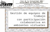 Foro de la Virtualidad 2002 “Intercambio de Experiencias” Gestión de equipos de trabajo con participación colaborativa en ambientes virtuales Gestión de.