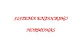 SISTEMA ENDOCRINO HORMONAS. Regulación Coordinación Sistema endocrino Hormonas Homeostasis Sistema nervioso.