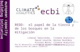 European capacity building initiativeecbi REDD: el papel de la tierra y de los bosques en la mitigación Liberal Seburikoko, Climate Analytics David Lesolle,
