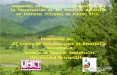 Compendio de Incentivos y Programas para la Conservación de los Recursos Naturales en Terrenos Privados en Puerto Rico Presentado por: El Centro de Estudios.