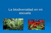 La biodiversidad en mi escuela. Objetivo General  Estudiar la biodiversidad en mi escuela para el buen entendimiento de los conceptos básicos del tema.