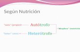 Según Nutrición Autótrofo Heterótrofo “auto” (propio) “thophos” (nutrición) “heter” (otro)