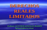 DERECHOS REALES LIMITADOS Profesor: GUNTHER GONZALES BARRÓN hgonzales@terra.com.pe.