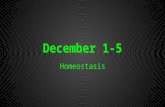 December 1-5 Homeostasis. Do Now 12/1 1. Match cards with picture 2.Check answers 3.Partner 1 explain why/how the picture represents the word.