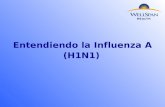 Entendiendo la Influenza A (H1N1). ¿Qué es la H1N1?  Es una enfermedad respiratoria similar a la gripe estacional  Puede propagarse entre humanos a.