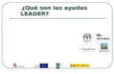 ¿Qué son las ayudas LEADER? ¿Qué son las ayudas LEADER?
