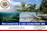 Company LOGO Biocomercio y uso sostenible BD Lorena Jaramillo Castro Iniciativa BioTrade / UNCTAD Plantas Medicinales: Biocomercio y Desarrollo Sostenible.