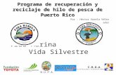 Vida Marina Vida Silvestre Programa de recuperación y reciclaje de hilo de pesca de Puerto Rico Por : Héctor Varela Vélez Coordinador C.R.O.A C.R.O.A.