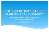 COLEGIO DE BACHILLERES PLANTEL 1 “EL ROSARIO” Integrantes: GAMIÑO QUIROZ AMELLATZIN ORTEGA OLMOS DIANA ALIN Grupo: 208 10 de abril del 2013.