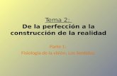 Tema 2: De la perfección a la construcción de la realidad Parte 1: Fisiología de la visión; Los Sentidos.