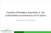 Www.ambientalperuana.com Cambio Climático asociado a las actividades económicas en la selva Abraham Levy Spack.