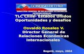 DIRECCION GENERAL DE RELACIONES ECONOMICAS INTERNACIONALES MINISTERIO DE RELACIONES EXTERIORES TLC Chile- Estados Unidos Oportunidades y desafíos Osvaldo.