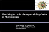 Bioq. María de los Angeles Sosa Catedra de Microbiología General FACENA-UNNE Metodologías moleculares para el diagnóstico en Microbiología.