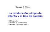Bibliografía: Capítulo 21. Blanchard Capítulo 10. Belzunegui… La producción, el tipo de interés y el tipo de cambio Tema 3 (Bis)